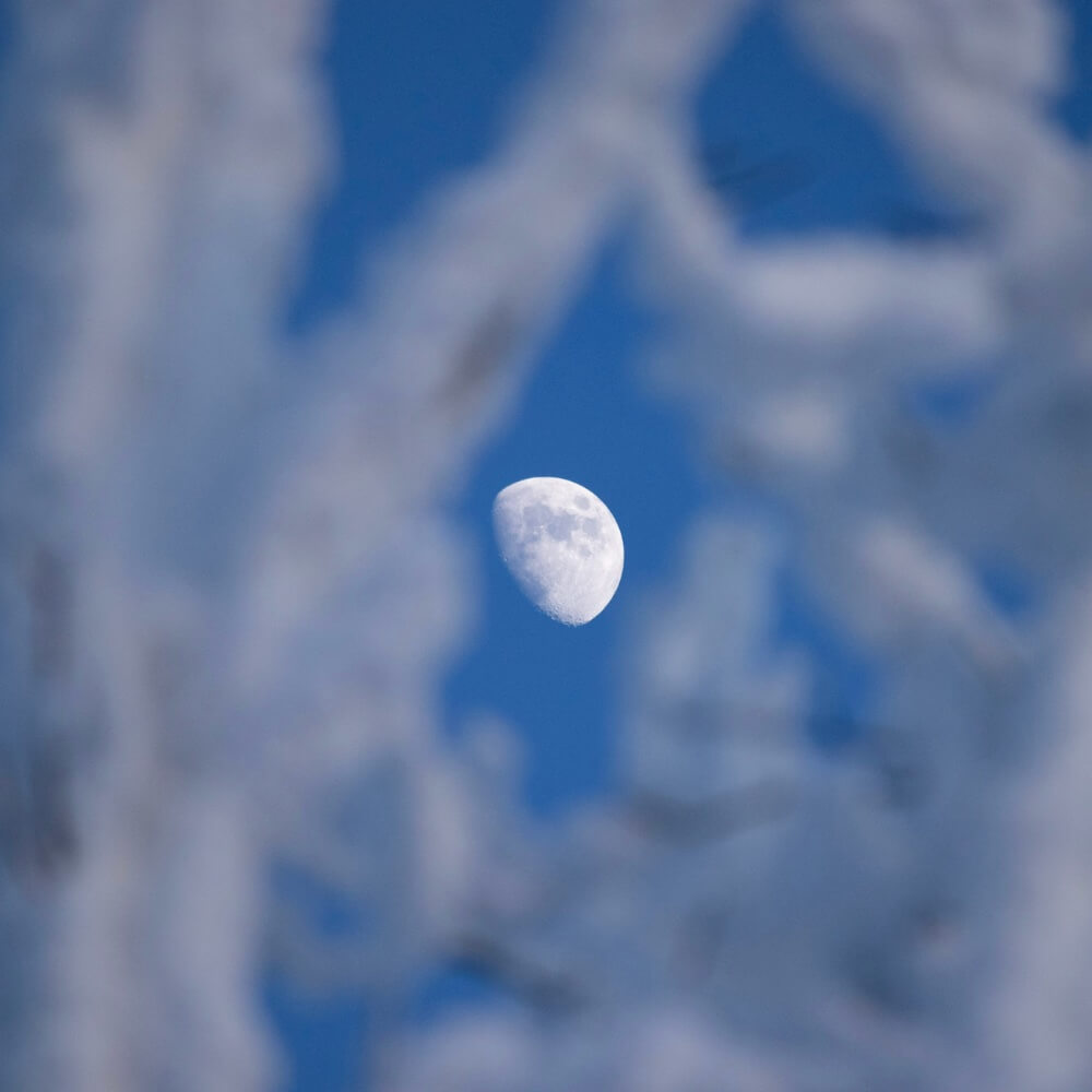 Mond am Tag